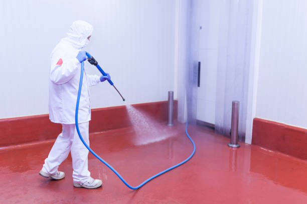 Best House Exterior Washing  in Park View, IA